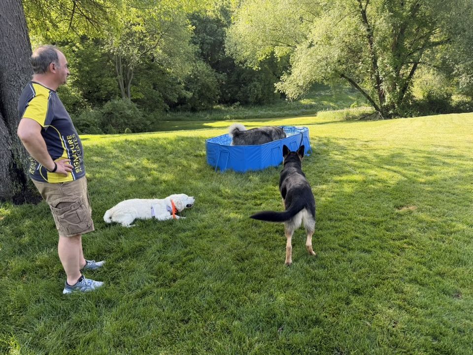 075611D0-7571-4125-B558-07F466094651_1_105_c.jpeg