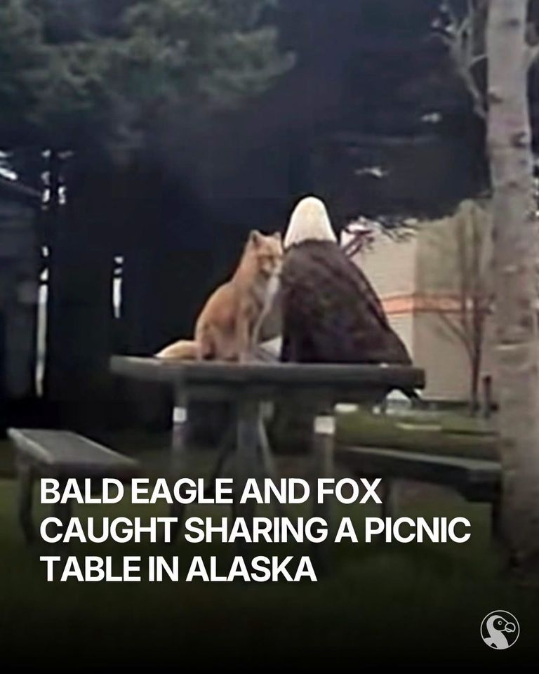 Family memory