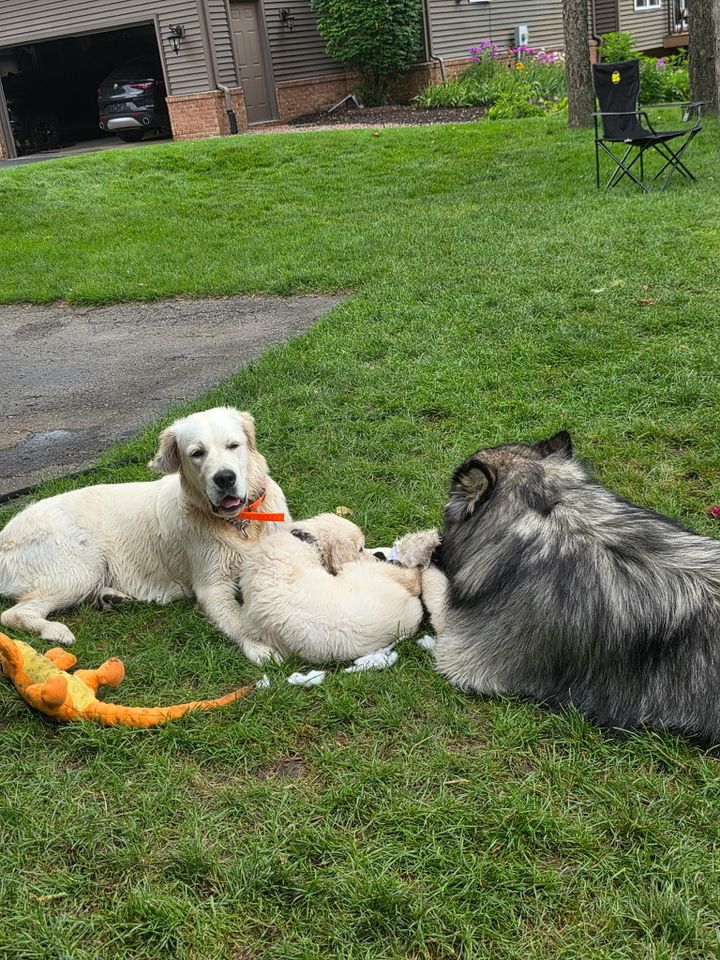 Family memory
