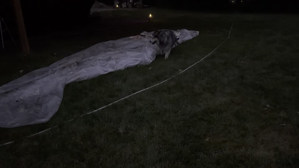 Family memory