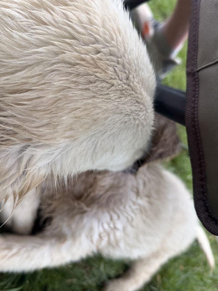Family memory