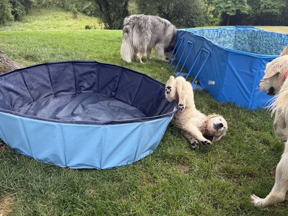 Family memory