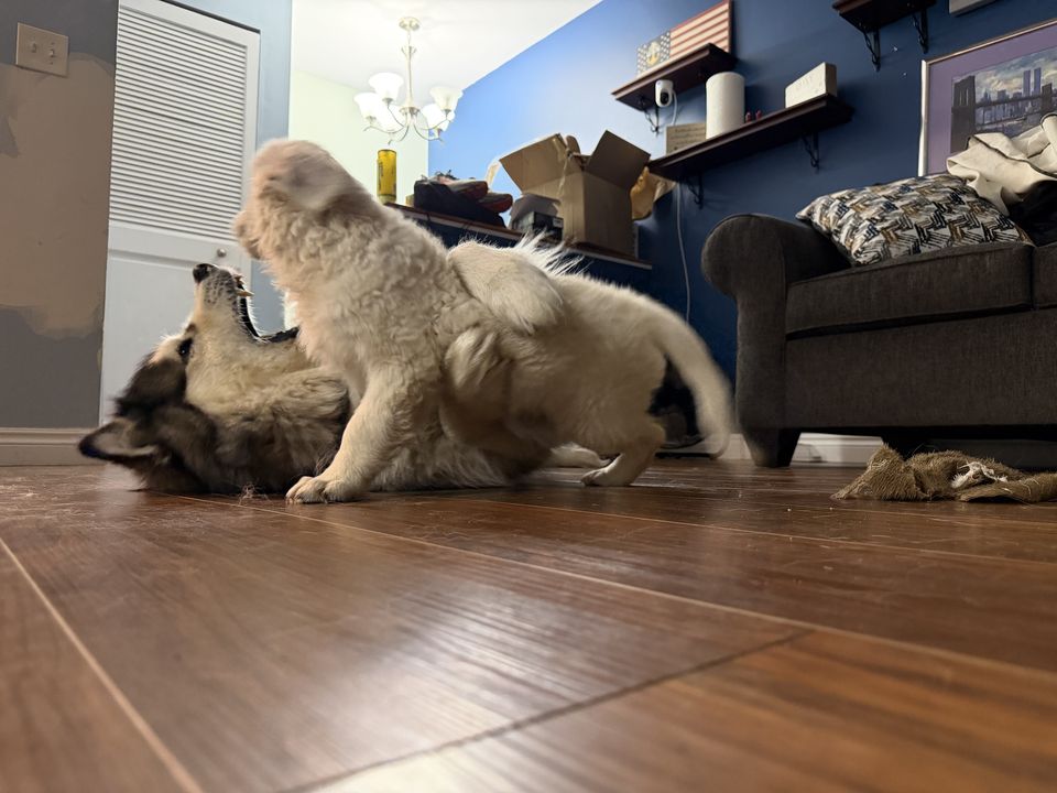 Family memory