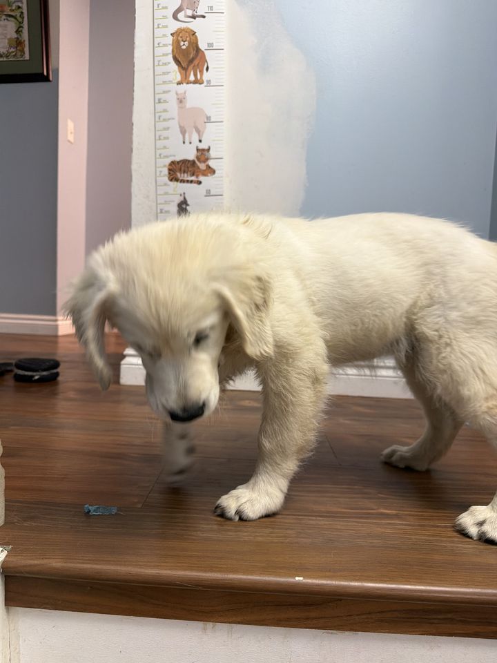 Family memory