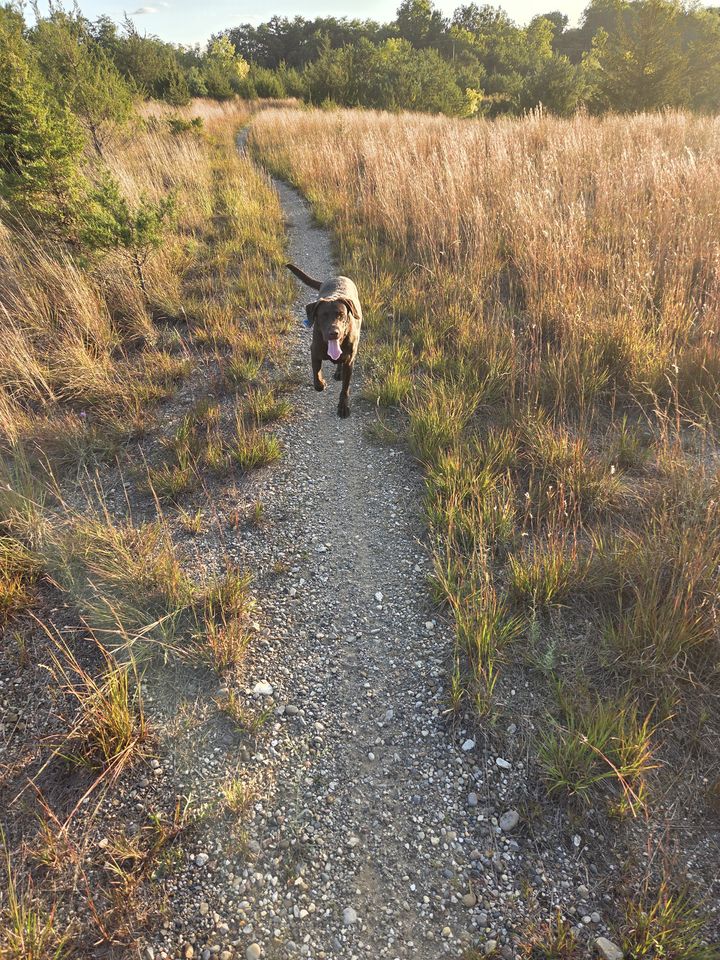 Trail
