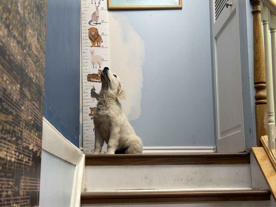 Family memory