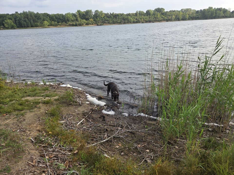 Trout Lake