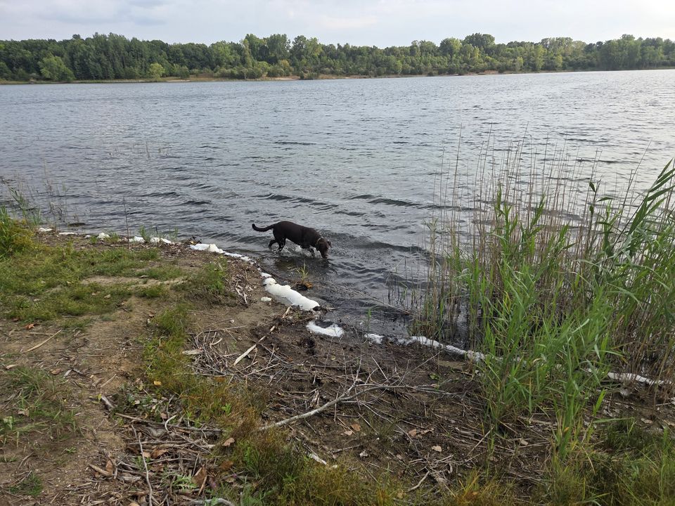 Trout Lake